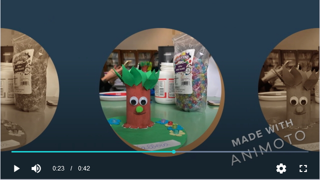 ANIMOTO01